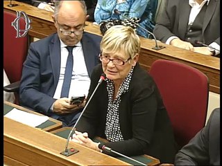 Roma - ​​Vigilanza Rai - Audizione Corsini e Ranucci (05.11.25)