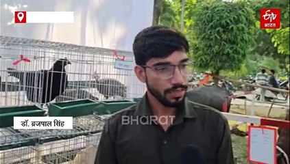 यूपी का सबसे महंगा मुर्गा कड़कनाथ, कीमत दोगुनी-खूबियां 4 गुनी; डिमांड आसमानी...