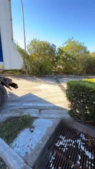 Zannini - La Domiziana resta una priorità (05.11.25)