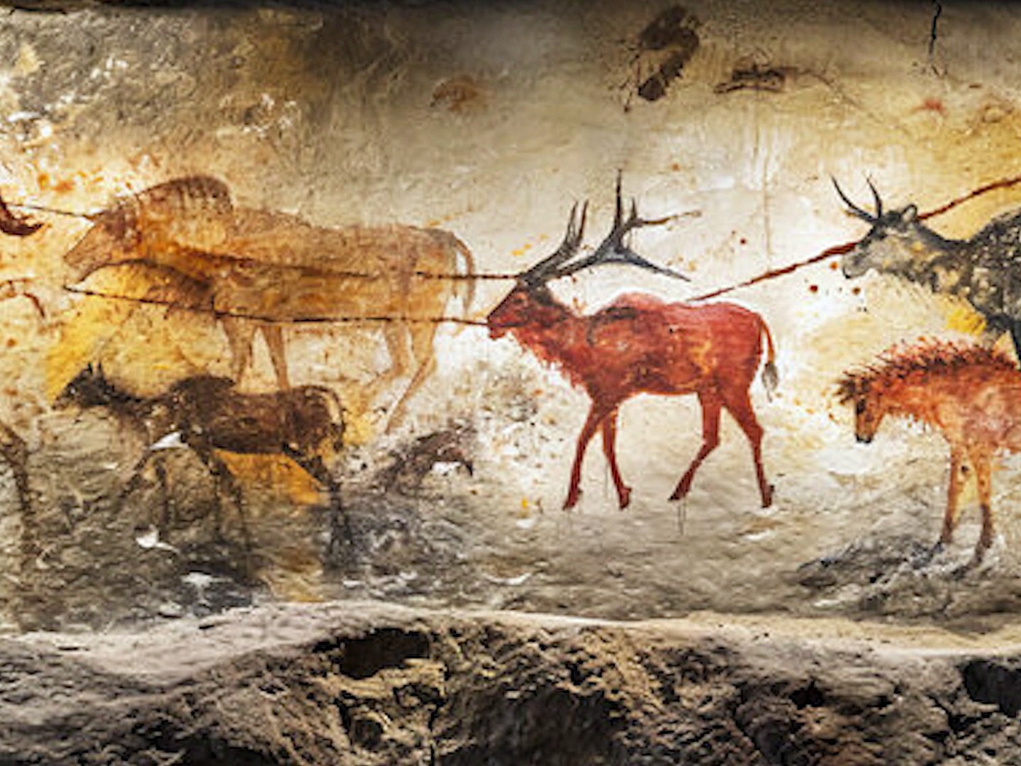 ⁣Michael Sloanc Archaeology - Lascaux Cave Paintings