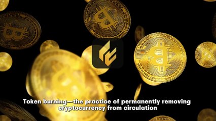 Token Burns Explained: Niufo's Market Analysis on What Really Drives Crypto Value