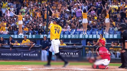 Shanghai Baseball Team Accused of Plagiarizing Taiwan Ball Club Logo