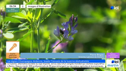 06/11/2025 - ici matin par ici Champagne-Ardenne en vidéo