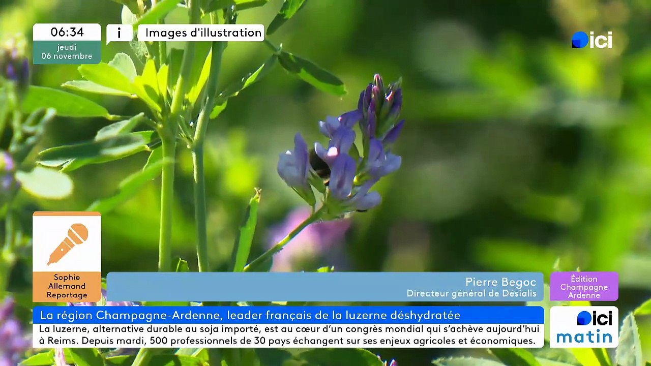 06/11/2025 - ici matin par ici Champagne-Ardenne en vidéo