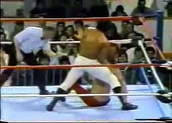 Ricky The Dragon Steamboat vs Ravishing Rick Rude