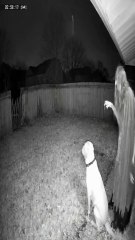 funniest clips 😂 #funny #relatable #lol #memes #funnyvideos