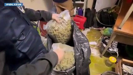 Arrestato un organizzatore di eventi: aveva 27 chili di droga e 42 mila euro