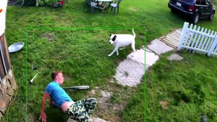Funny Videos - Epic Human Fails Compilation 2025