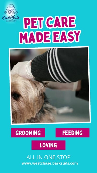 Mobile Pet Grooming in Westchase