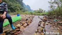 Full video of Ana's 31 days of fishing in the stream. Caught many big fish to sell