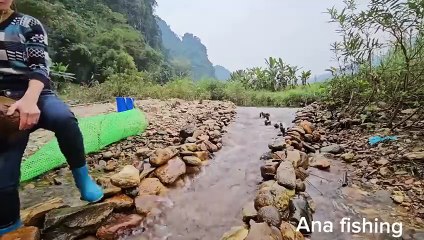 Full video of Ana's 31 days of fishing in the stream. Caught many big fish to sell