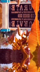 Where Innovation Drives Success – Accurate Greater Noida’s B.Tech Placement Power