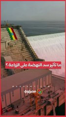 سد النهضة يحجز 95% من طمي النيل.. ما تأثيره على الزراعة؟