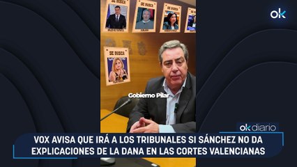 Vox avisa que irá a los tribunales si Sánchez no da explicaciones de la DANA en las Cortes Valencianas