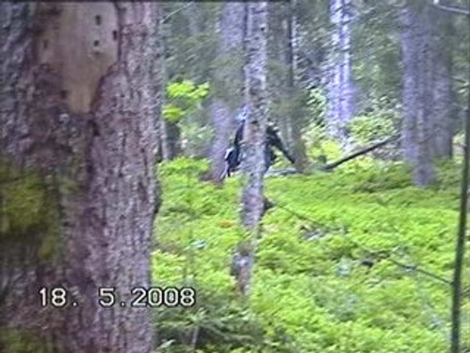 VTS_01_1