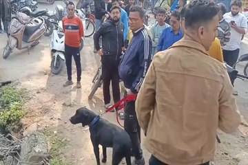 बीच शहर दुकान से 25 लाख की मोबाइल चोरी, सेंध लगाकर आईफोन समेत महंगे सेट ले उड़े