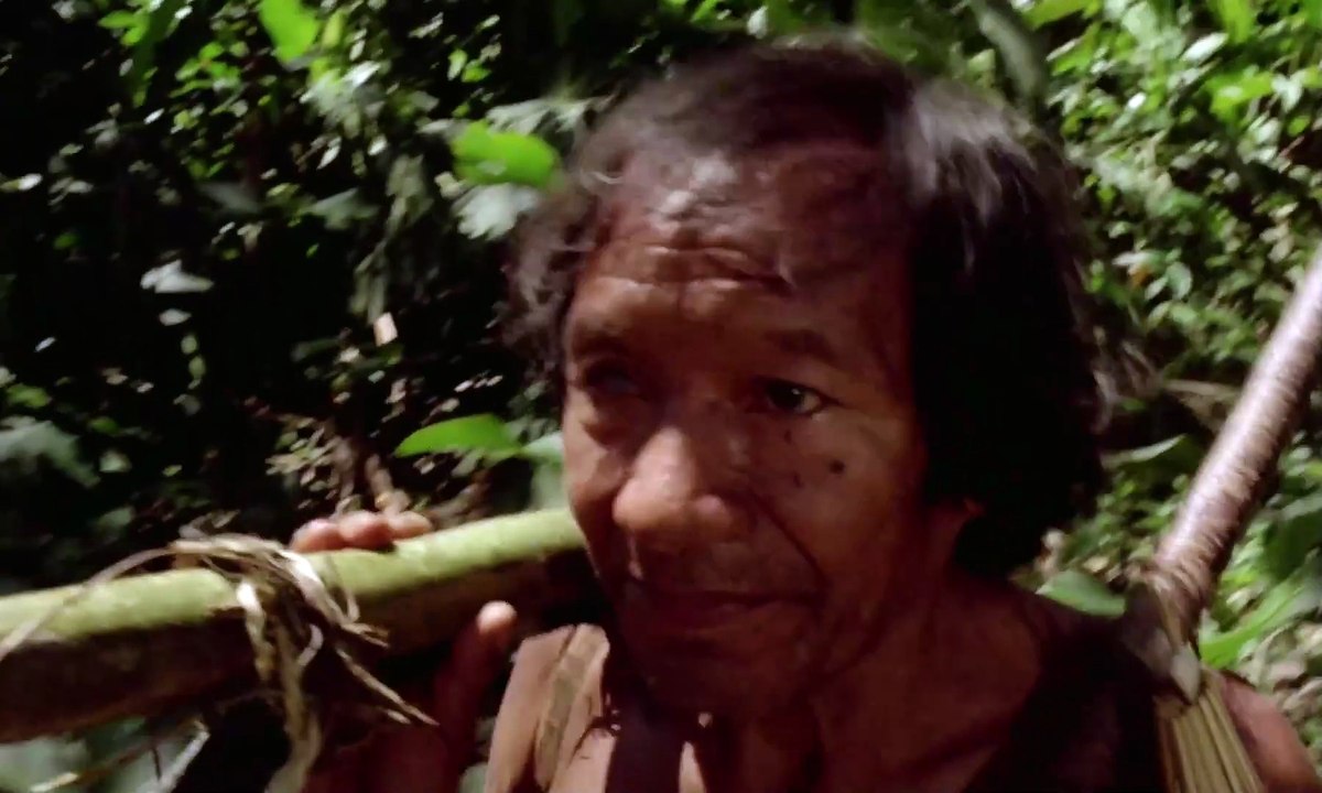 Green Inferno