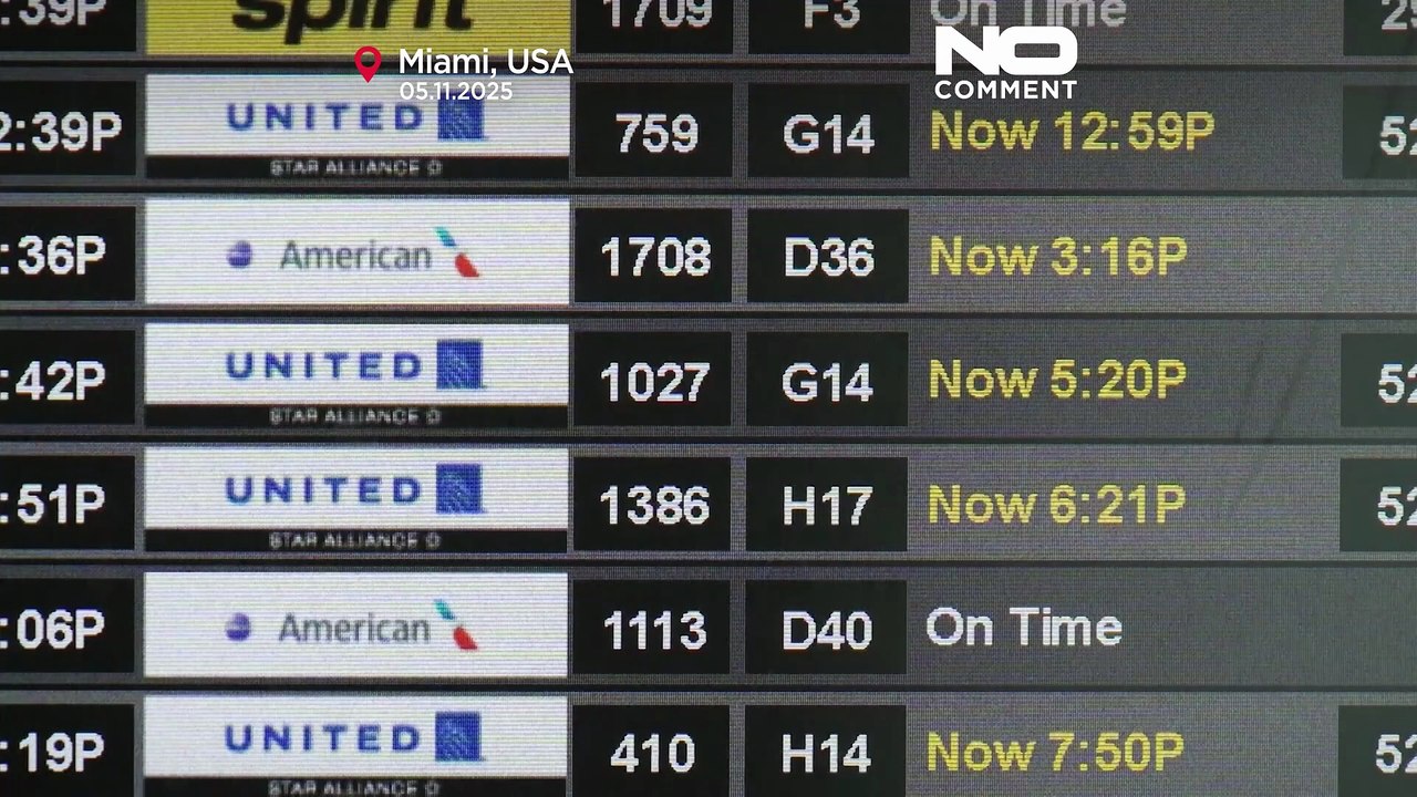 US-Shutdown bringt massive Flugverspätungen und Flugausfälle