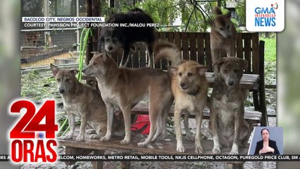 Mga residente, umakyat sa bubong dahil sa pagtaas ng baha; animal shelter, napinsala | 24 Oras
