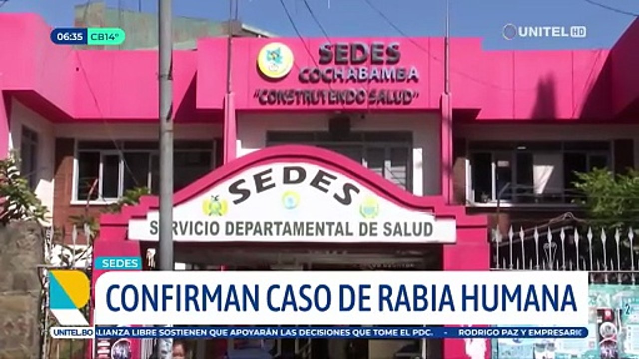 Rabia humana: Estudiante de medicina fue mordida por un cachorro que adoptó el cual murió 10 días después