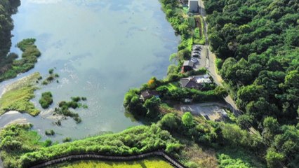 [경기] 오산시, 서랑저수지 '시민 힐링 공간' 조성 사업 착수 / YTN