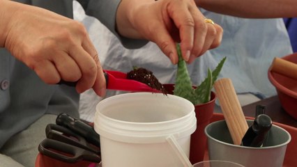 [녹색] 농진청, 치유농업 효과 '표준 평가 기준' 첫 마련 / YTN