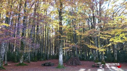 El otoño nos recibe con estas preciosas vistas en Belagua