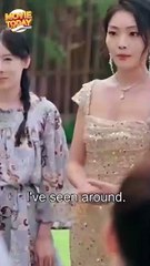 echoes of the shield chinese drama