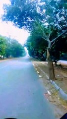 Explore the beauty of Nature | Nature with Amit