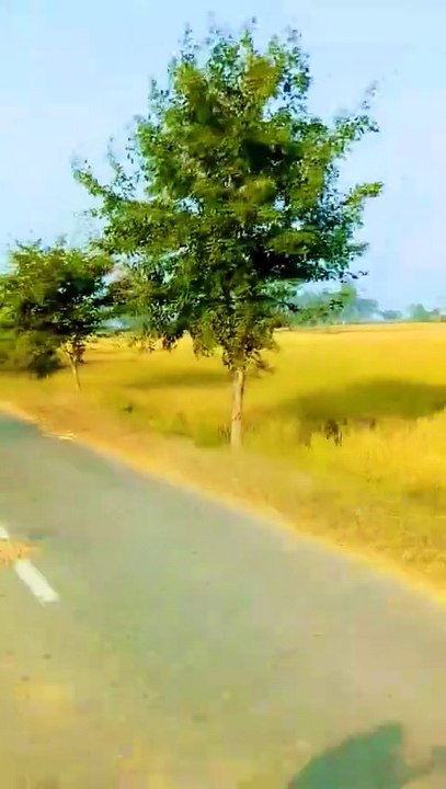 Explore the beauty of Nature | Nature with Amit