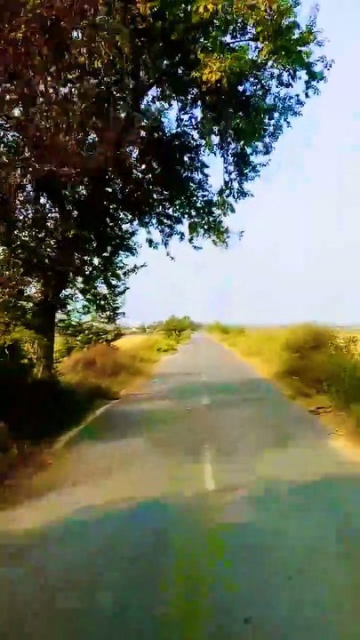 Explore the beauty of Nature | Nature with Amit