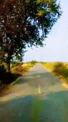 Explore the beauty of Nature | Nature with Amit