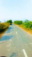 Explore the beauty of Nature | Nature with Amit