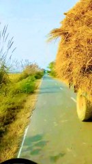 Explore the beauty of Nature | Nature with Amit