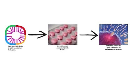 Un médicament pour traiter l’infertilité