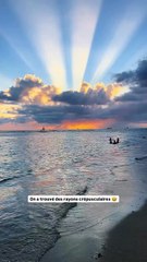 Quand le soleil se cache derrière les nuages, la magie opère