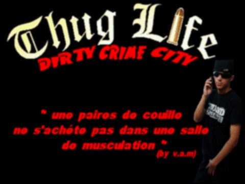 bienvenue dans mon hood section illicite exclu 2008