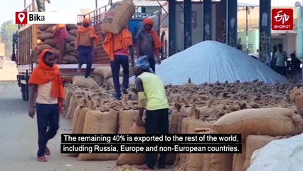 Rajasthan's Peanut Exporters Hit As Southeast Asian Nations Halt Imports Over Alleged Fungal Contamination