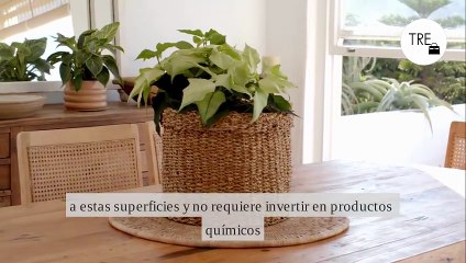 El truco súper fácil para que tus muebles de madera vuelvan a brillar