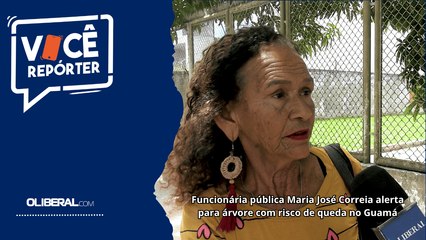 Funcionária pública Maria José Correia alerta para árvore com risco de queda no Guamá