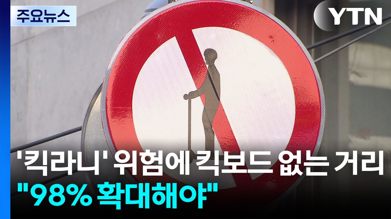 '킥라니' 위험에 킥보드 없는 거리..."98% 확대해야" / YTN