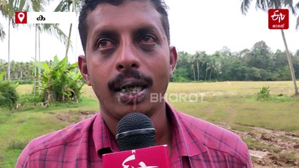 നവംബറിൽ നിലം ഒരുക്കേണ്ട പാടങ്ങൾ വെള്ളത്തിൽ: വിളവ് കുറയും; കാലാവസ്ഥാ വ്യതിയാനം കർഷകർക്ക് കനത്ത തിരിച്ചടി