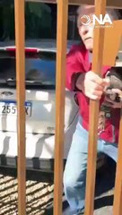 “Me pegó en la cara”: el video del brutal ataque de un vecino a una chica que estacionó frente a su casa