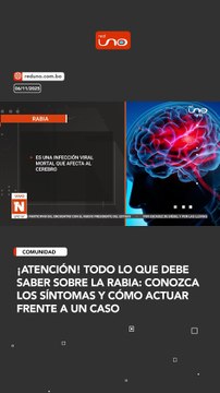 ¡Atención! Todo lo que debe saber sobre la rabia: conozca los síntomas y cómo actuar frente a un caso