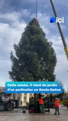 Arrivée du sapin de Noël sur la Place Stanislas