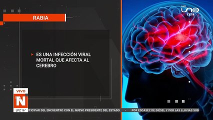 SÍNTOMAS  Y RECOMENDACIONES RABIA