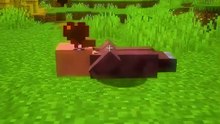😎 rejoins le Discord dans ma bio #minecraft #mast
