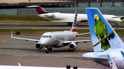 Flight Cuts to Hit 40 Busiest U.S. Airports Due to Government Shutdown