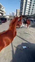 Its not AI generated its Dubai