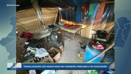 Trabalhadores são resgatados em condições similares a da escravidão